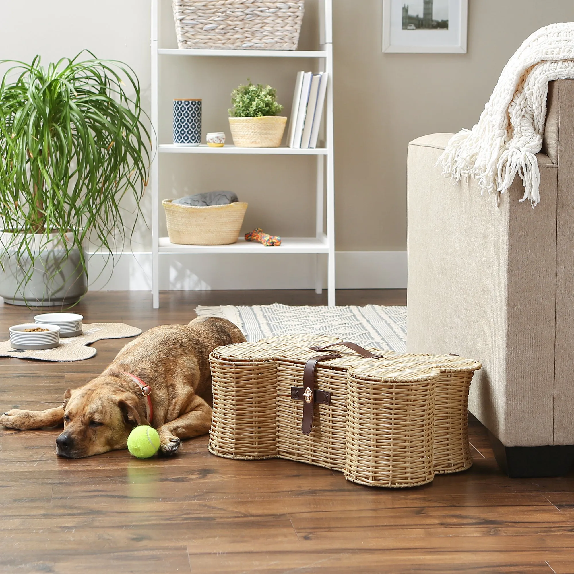 Bone Dry Pet Toy Storage Basket, Bone Shaped, Beige - 21x13x8"