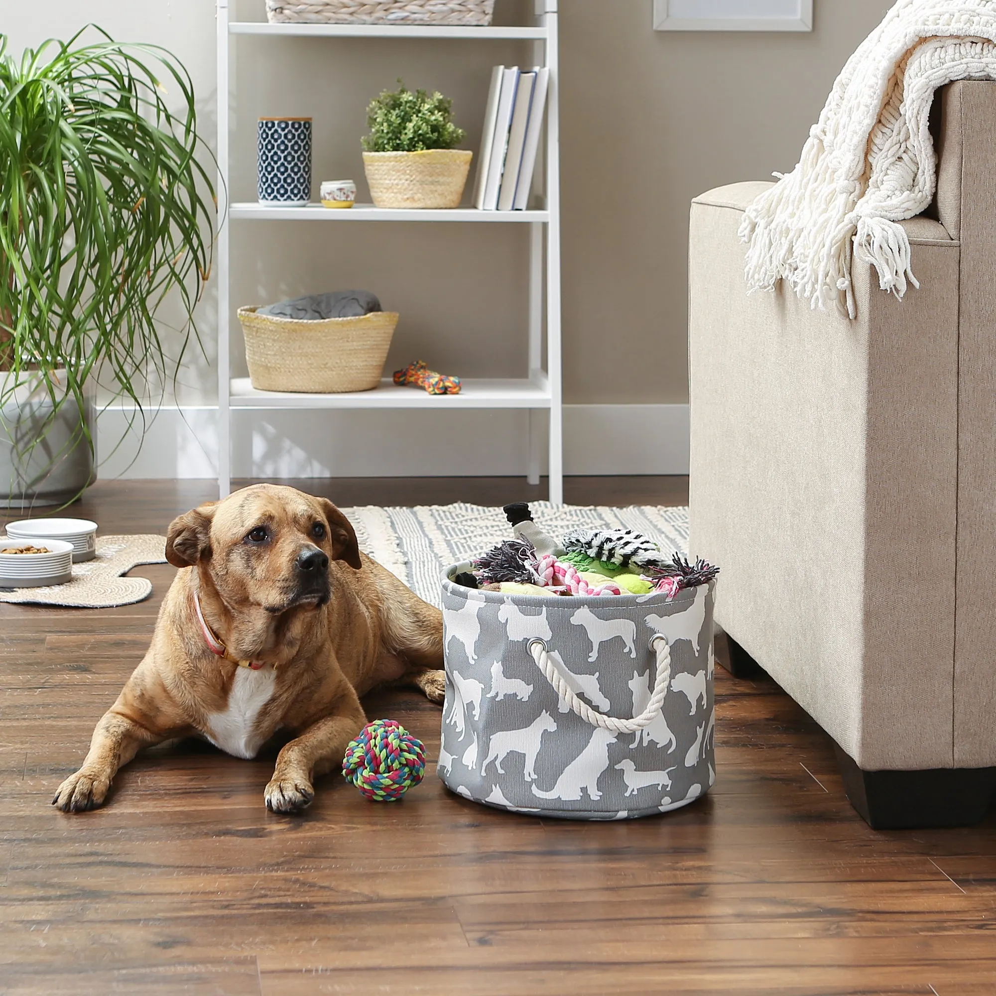 Collapsible Pet Storage Bin, Dog Show Print, Gray, Small Round - 9x12"