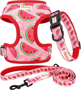 Didog No Pull Dog Harness Collar and Leash Set, Cute Pattern Puppy Dog Harness with Adjustable Collars and Leash, Soft Padded Air Mesh Vest for Small Dogs Walking Training(Watermelon, XS)