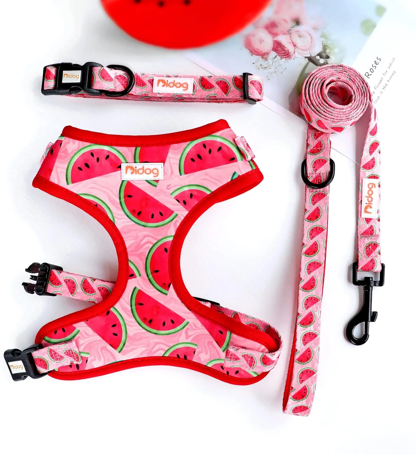 Didog No Pull Dog Harness Collar and Leash Set, Cute Pattern Puppy Dog Harness with Adjustable Collars and Leash, Soft Padded Air Mesh Vest for Small Dogs Walking Training(Watermelon, XS)