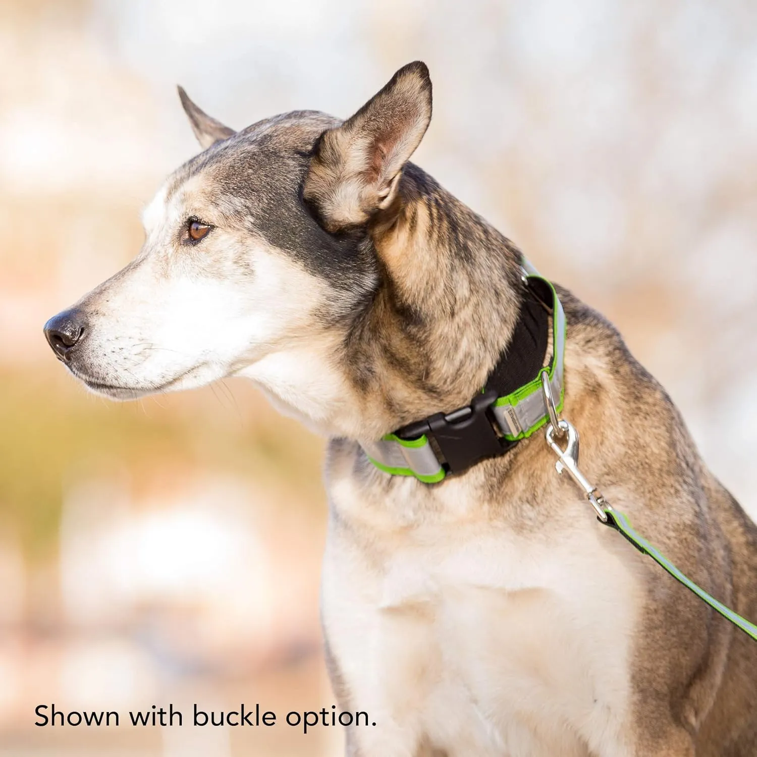 If It Barks - 1.5" Reflective Martingale Collar with Quick Snap Buckle for Dogs - Adjustable - Made in USA - Strong, Durable, and Comfy - Ideal for Training - Fits Most Breeds - Small, Apple Green