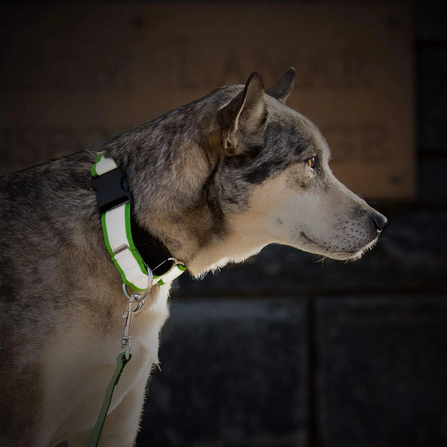 If It Barks - 1.5" Reflective Martingale Collar with Quick Snap Buckle for Dogs - Adjustable - Made in USA - Strong, Durable, and Comfy - Ideal for Training - Fits Most Breeds - Small, Apple Green