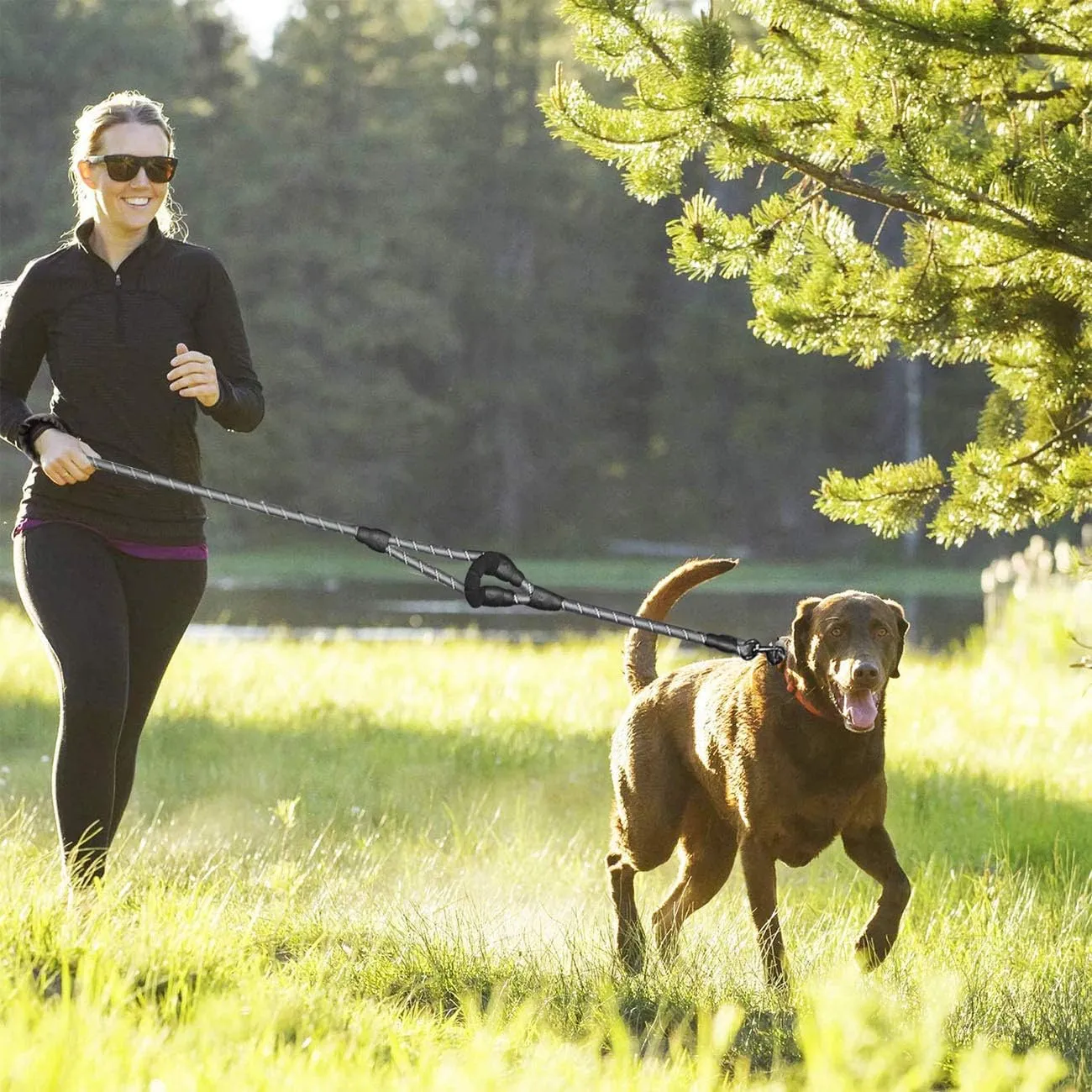 JSXD Heavy Duty Double Handle Dog Leash - 5 FT, Padded & Reflective, Rope for Small to Large Dogs (Black)
