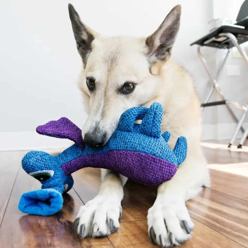 Kong Woozles Blue Squeaker Toy For Dogs (Medium)
