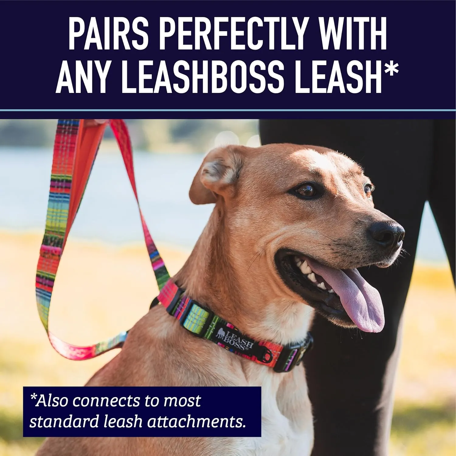 Leash Boss Martingale Collar for Dogs - Steel Chain | Reflective Nylon Dog Collar for Large Dogs, Medium and Small Dogs | No Pull Pet Training Collar Small