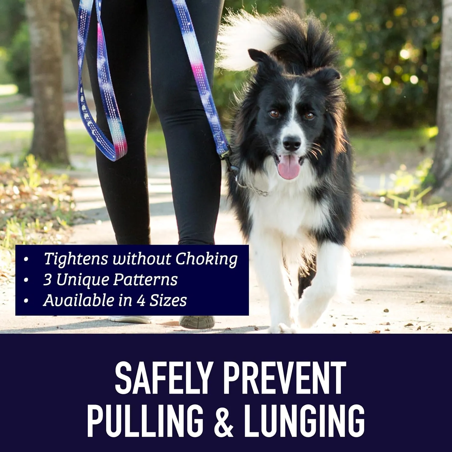 Leash Boss Martingale Collar for Dogs - Steel Chain | Reflective Nylon Dog Collar for Large Dogs, Medium and Small Dogs | No Pull Pet Training Collar Small