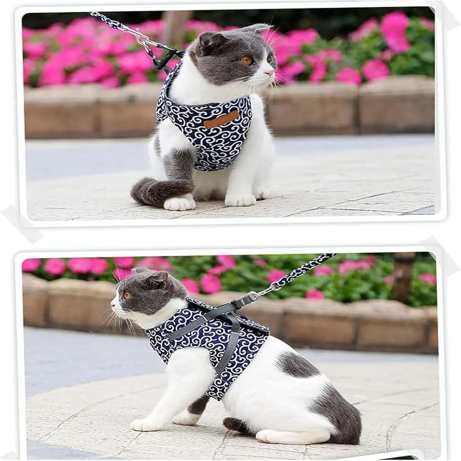 Niowatchted Cat Vest Harness and Leash Anti-Break Away Chest Strap Cat Clothes Set for Walking, Escape Proof Soft Adjustable Breathable Vest Harness with Handle (Blue, Medium)