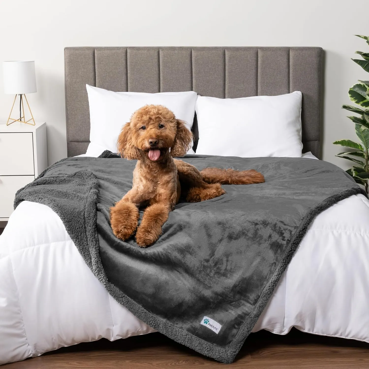 PetAmi Waterproof Dog Blanket for Medium Large XL Dog Puppy Cat Throw for Couch Cover Leakproof Protection, Sherpa Fleece, Reversible Soft Washable 80x60 Gray Gray