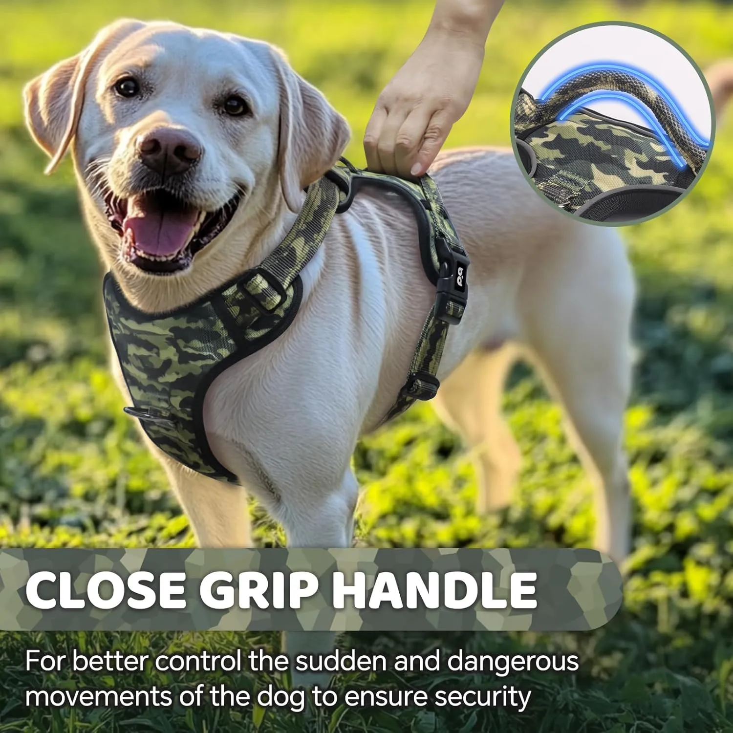QQPETS No Pull Dog Harness with 2 Leash ClipsAdjustable Soft Padded Dog Vest, Reflective Outdoor Pet Oxford Vest with Easy Control Handle for Small to Large Dogs Walking Training