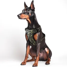 QQPETS No Pull Dog Harness with 2 Leash ClipsAdjustable Soft Padded Dog Vest, Reflective Outdoor Pet Oxford Vest with Easy Control Handle for Small to Large Dogs Walking Training