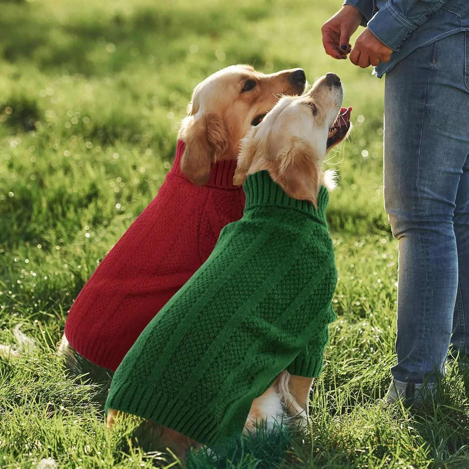 Queenmore XSmall Dog Sweater,Small Sweater for Dog,Soft Knitted Dog Sweater Christmas Clothing,Turtleneck Pullover Puppy Sweaters for Dogs Girls Boys,Cozy Pet Knitwear for Teacup,Chihuahua(Green,XS)