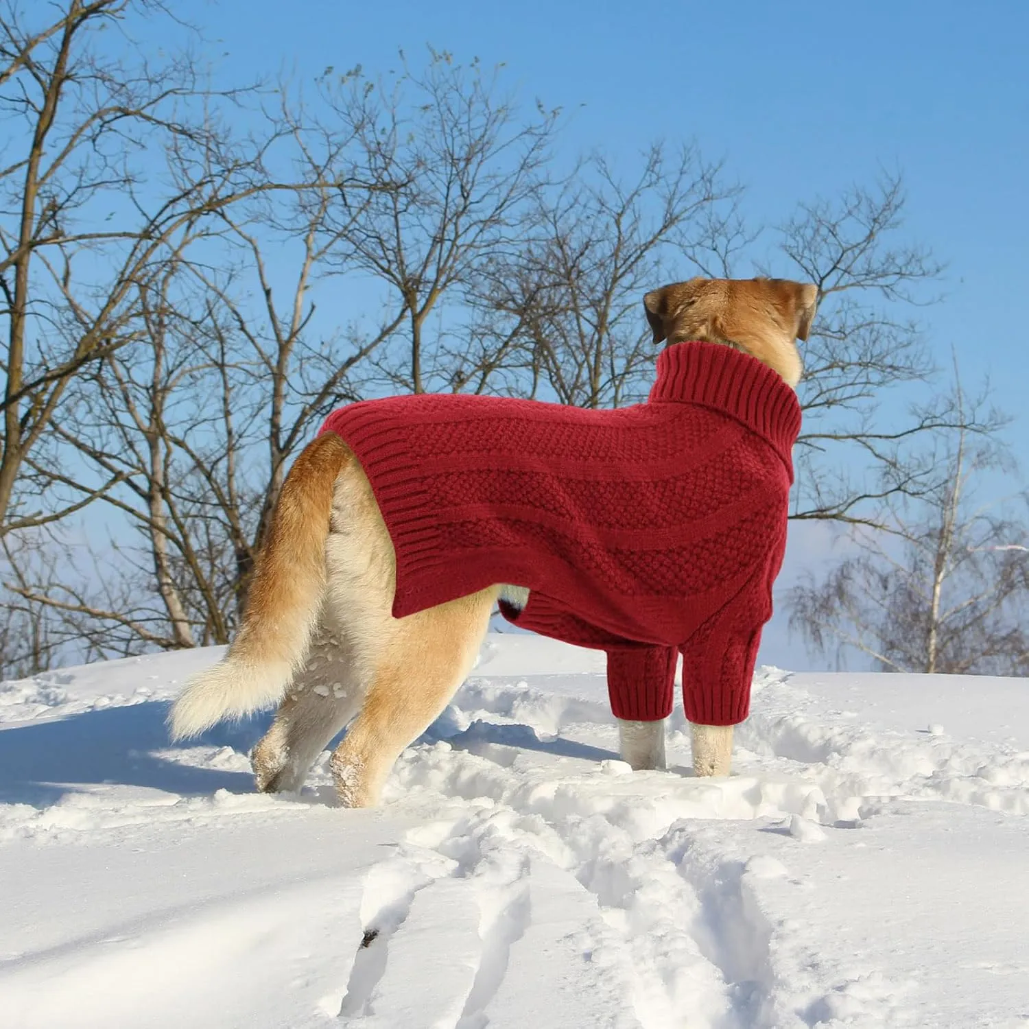 Queenmore XSmall Dog Sweater,Small Sweater for Dog,Soft Knitted Dog Sweater Christmas Clothing,Turtleneck Pullover Puppy Sweaters for Dogs Girls Boys,Cozy Pet Knitwear for Teacup,Chihuahua(Red,XS)