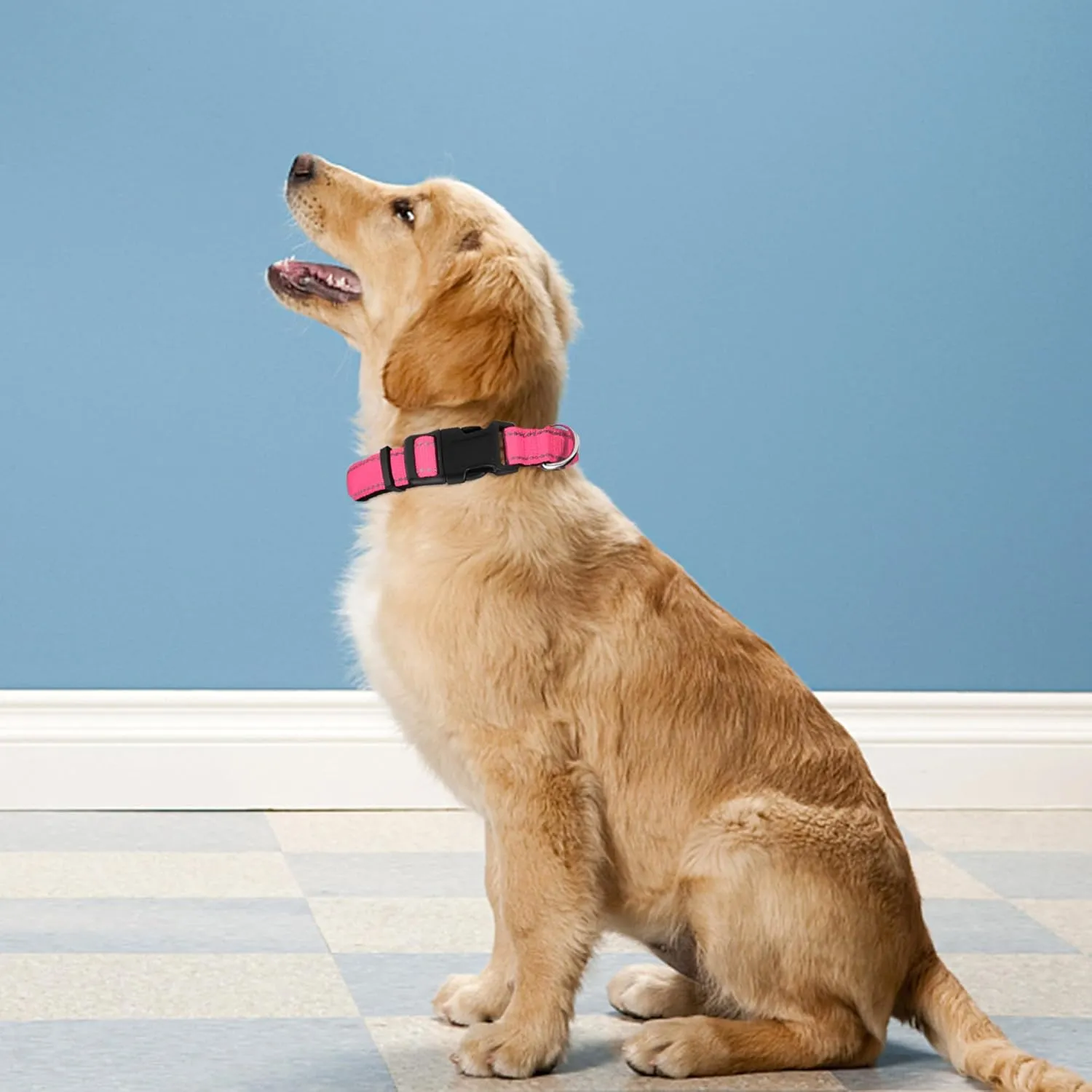 Reflective Dog Collar, Adjustable Soft Neoprene Padded Nylon Pet Collars with Buckle for Small Dogs, Hotpink,S