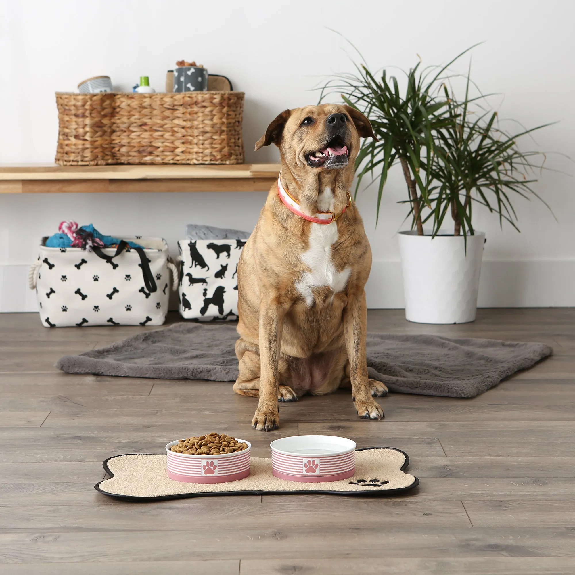 Rose Striped Paw Patch Pet Bowl Set of 2, Medium - 1.5 C. Capacity