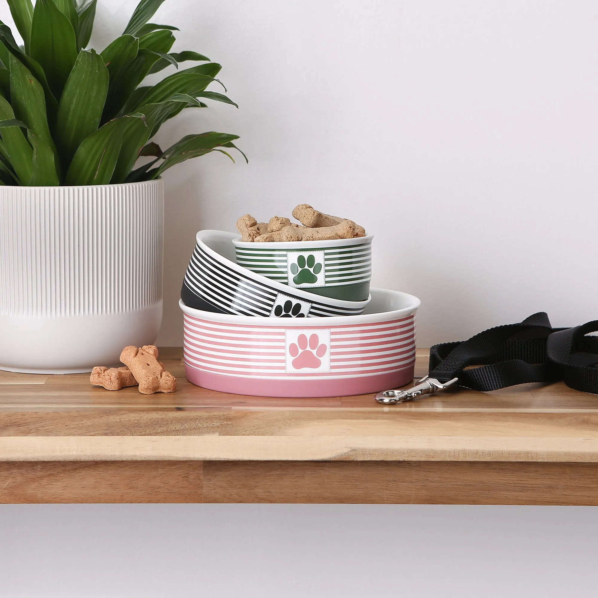Rose Striped Paw Patch Pet Bowl Set of 2, Medium - 1.5 C. Capacity