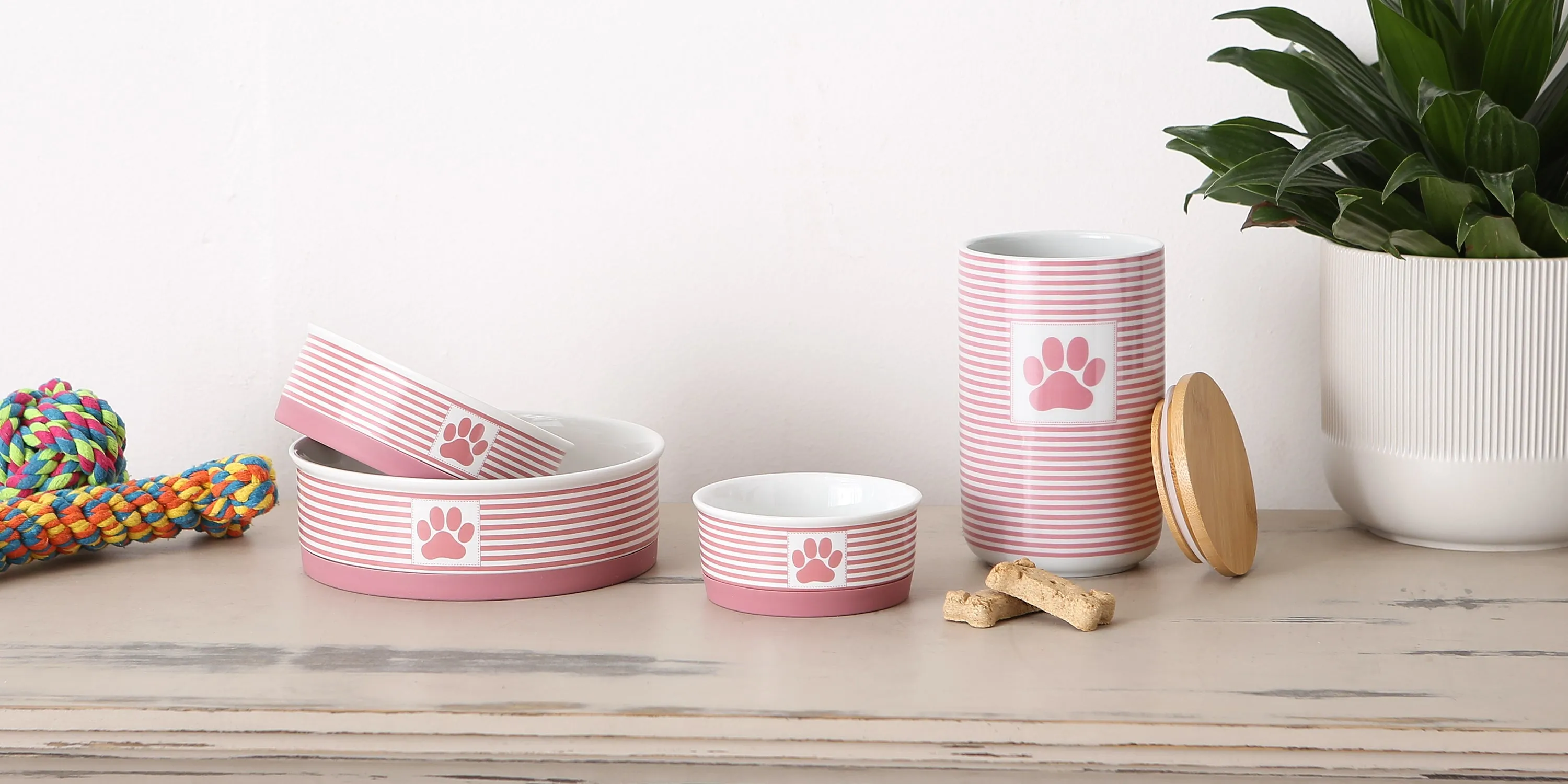 Rose Striped Paw Patch Pet Bowl Set of 2, Medium - 1.5 C. Capacity