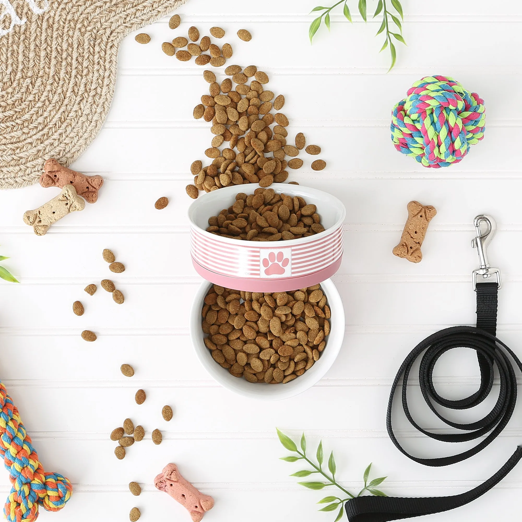 Rose Striped Paw Patch Pet Bowl Set of 2, Medium - 1.5 C. Capacity