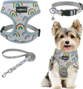 SCENEREAL Small Dog Harness Collar and Leash Set, Adjustable No Pull Pet Harnesses, No Chock Soft Mesh Step in Vest for Doggie Puppy Medium Dogs Cats Girl or Boy,Chihuahua, Yorkie, Outdoor Walking