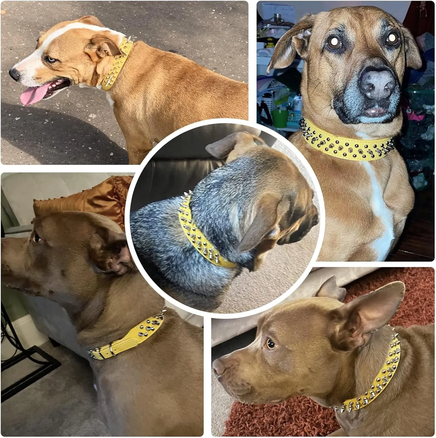Small Spiked Dog Cat Collar for Small Medium Dogs Boy Male - Adjustable Studded Puppy Collars - Soft Padded Punk Leather Dog Collar for Chihuahua Yorkie French Bulldog Pug (Yellow,XXS)