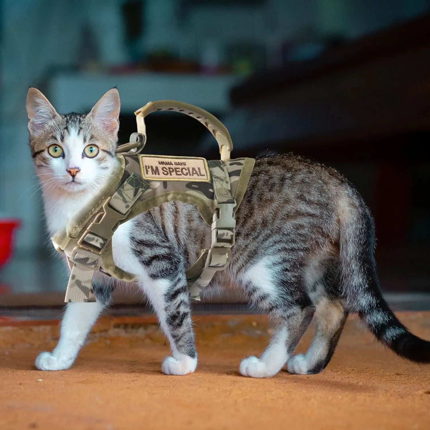 Tactical Cat Harness for Walking Escape Proof, Adjustable Pet Vest Harness, Soft Mesh with Control Handle for Large Cat Small Dog, Gift with Patch (Camouflage, cat Harness and Leash Set)