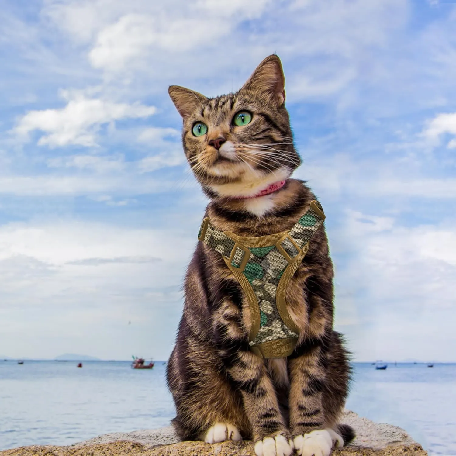 Tactical Cat Harness for Walking Escape Proof, Adjustable Pet Vest Harness, Soft Mesh with Control Handle for Large Cat Small Dog, Gift with Patch (Camouflage, cat Harness and Leash Set)
