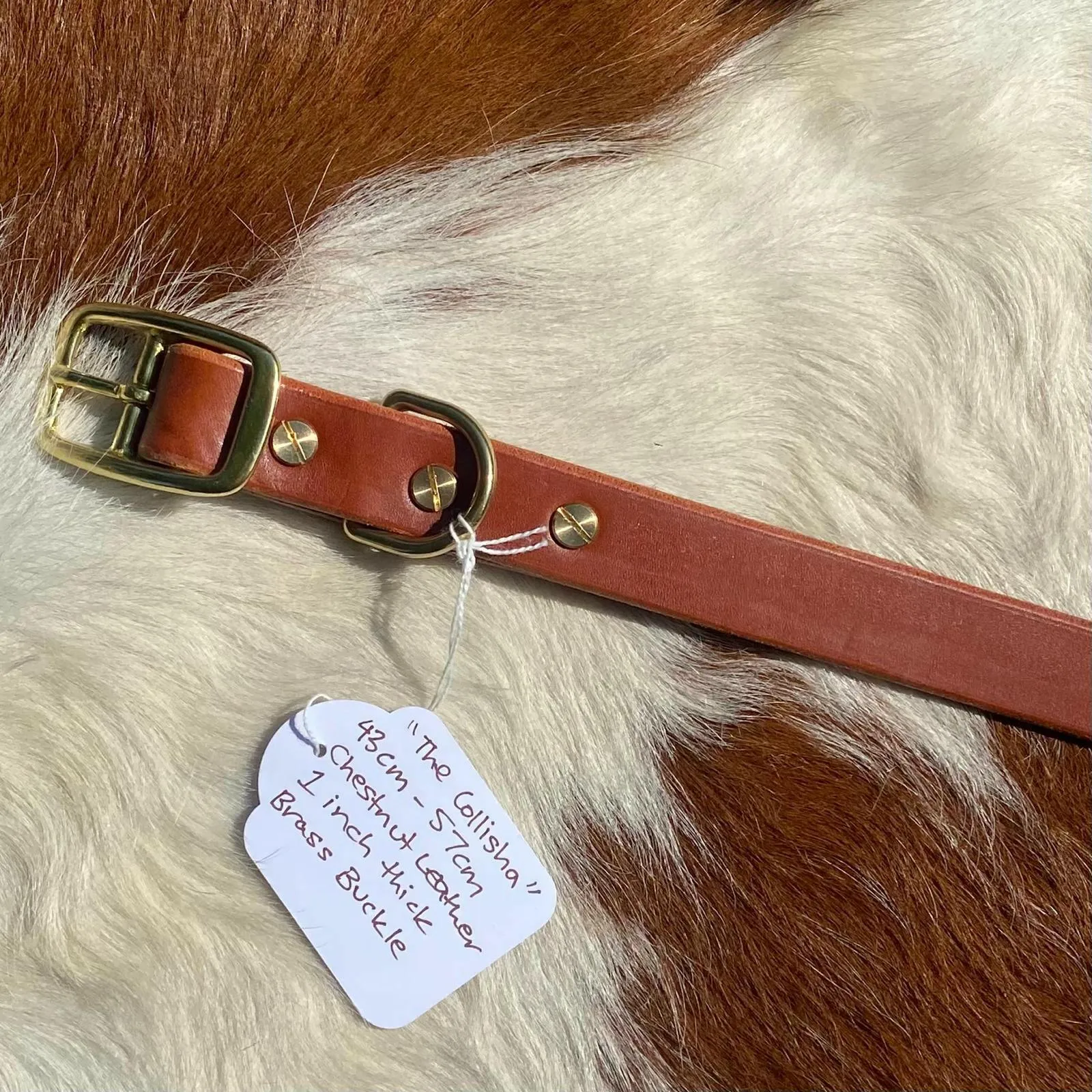 The Collisha - Chestnut Leather Collar