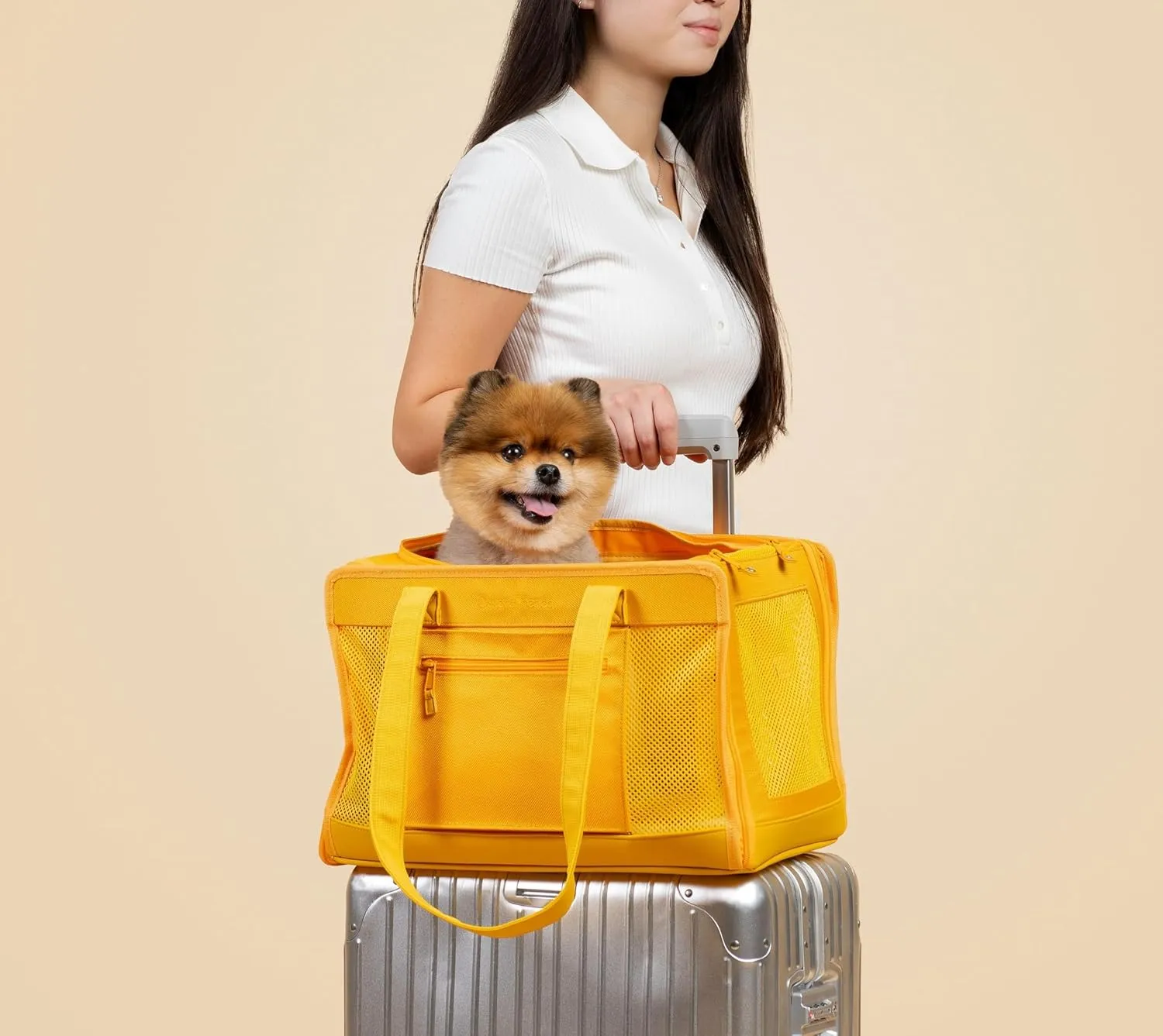 Travel Pet Carrier for Small Dogs and Cats by Oskar&Friends | Airline Approved Small Dog Carrier | Puppy Carrier |