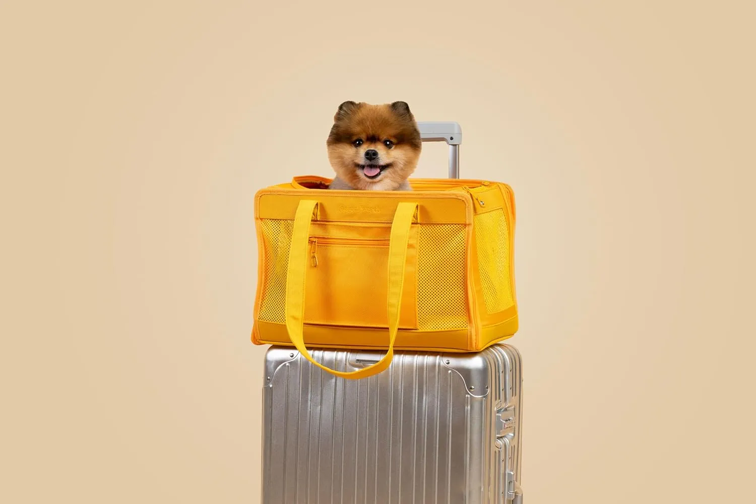 Travel Pet Carrier for Small Dogs and Cats by Oskar&Friends | Airline Approved Small Dog Carrier | Puppy Carrier |