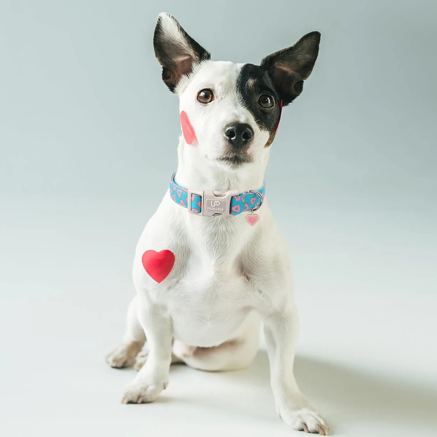 Valentines Dog Collar, Pink Heart Dog Collar with Quick Release, Valentines Gift Pet Girl Boy Dog Collar for Puppy Small Medium Dogs