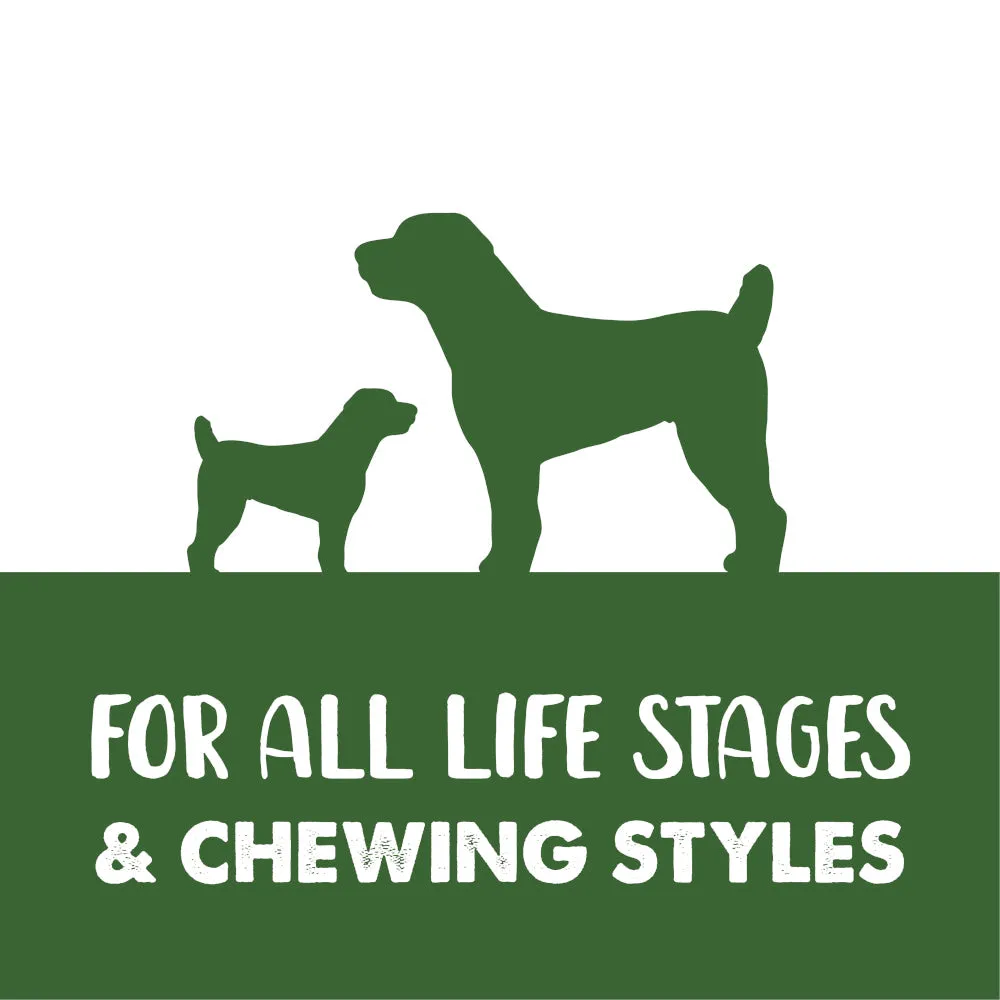 Zeus | Better Bones | Rawhide Free Dog Chews | Lamb & Mint Bones - Small - 10 Pack